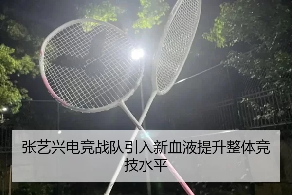 张艺兴电竞战队引入新血液提升整体竞技水平